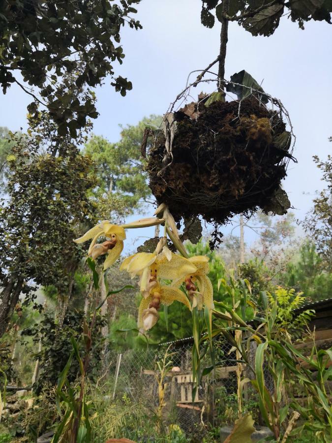 Renta De Cabanas, Centro Ecoturistico Rural Sustentable Labor San Jose San Cristóbal de Las Casas Eksteriør billede