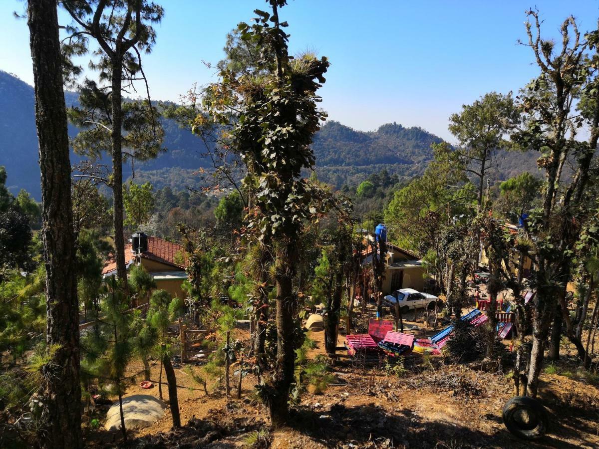 Renta De Cabanas, Centro Ecoturistico Rural Sustentable Labor San Jose San Cristóbal de Las Casas Eksteriør billede