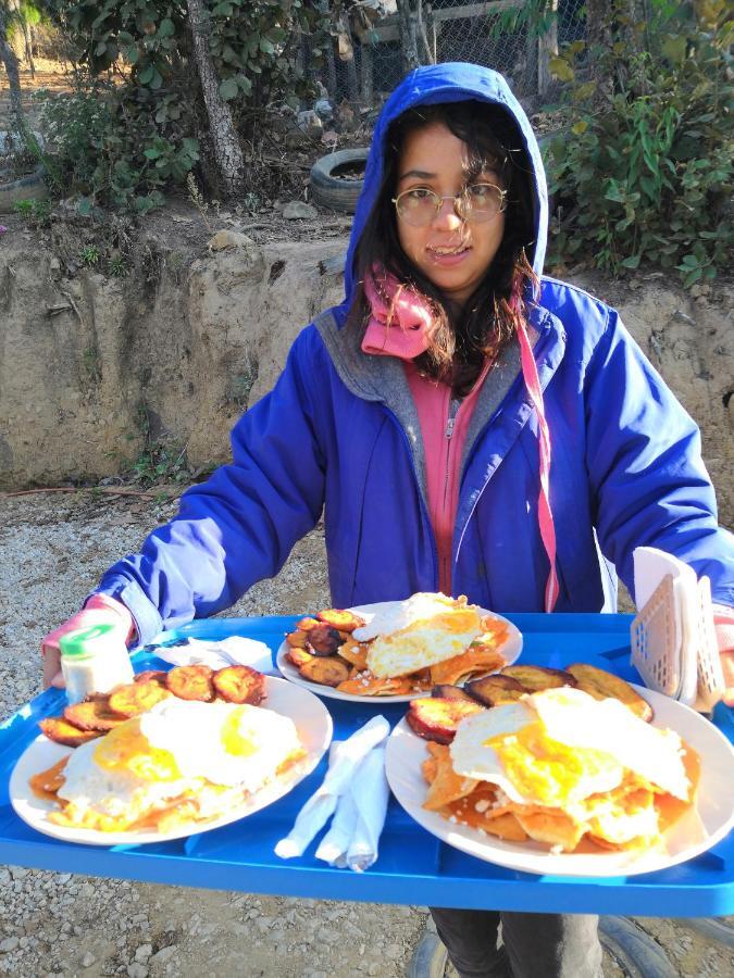 Renta De Cabanas, Centro Ecoturistico Rural Sustentable Labor San Jose San Cristóbal de Las Casas Eksteriør billede