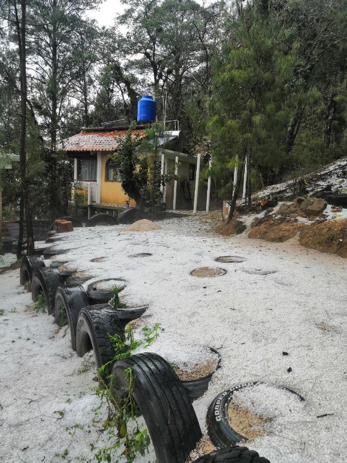 Renta De Cabanas, Centro Ecoturistico Rural Sustentable Labor San Jose San Cristóbal de Las Casas Eksteriør billede